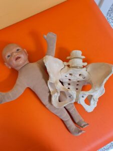 a0200e18-ef58-4846-be6c-a554136fd540