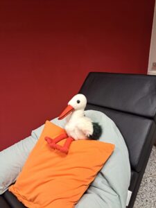 acee1a8b-5124-4265-8192-e37085d4a76d