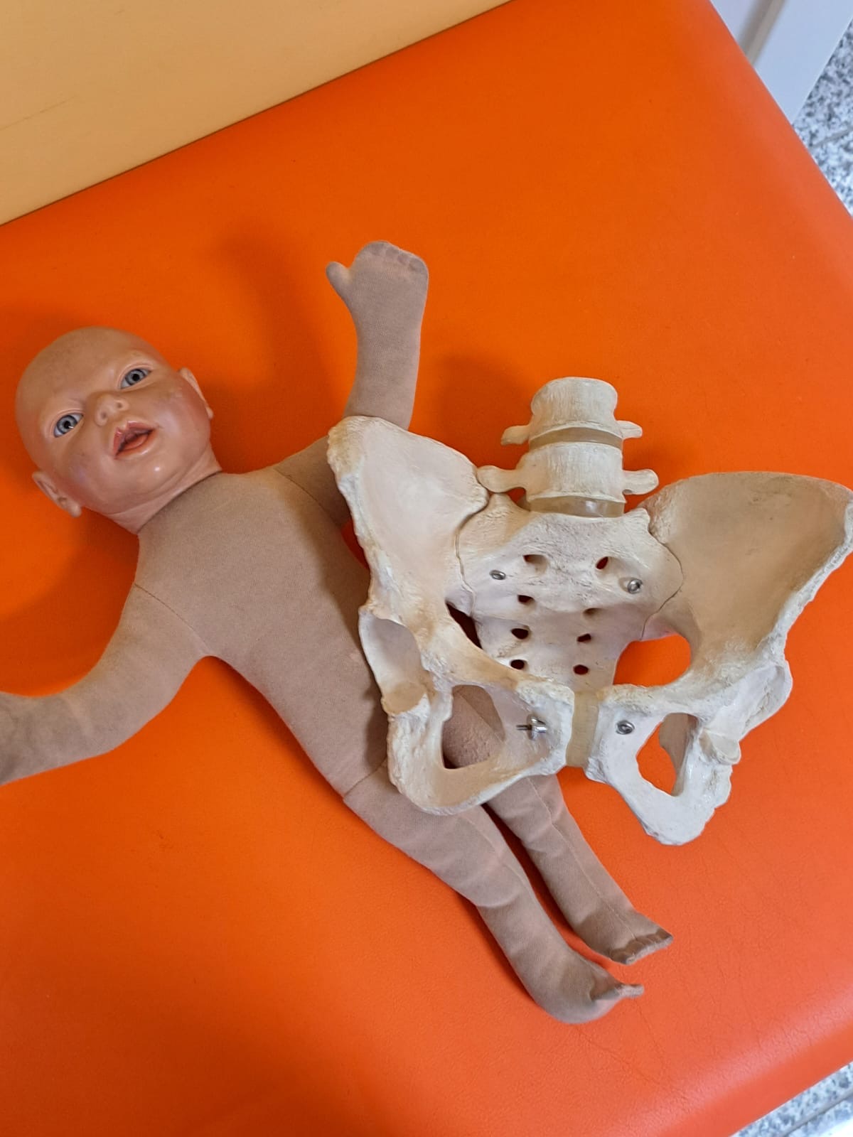 a0200e18-ef58-4846-be6c-a554136fd540