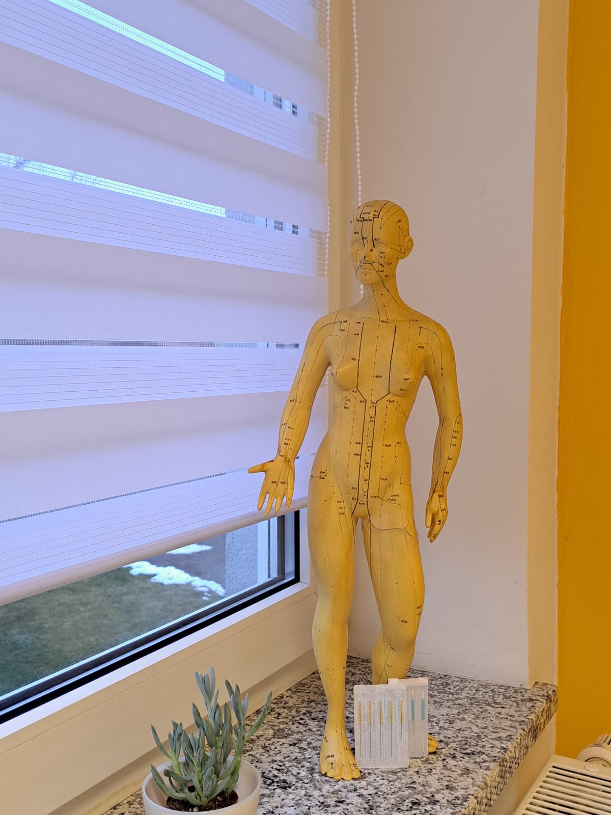 d375258a-dedb-4b0c-a378-e0d8c9cc69f6